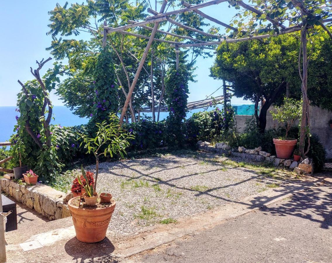 Apartament Il Limoneto Furore Zewnętrze zdjęcie